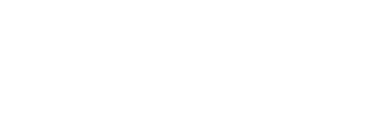 Let us build you a professional website!